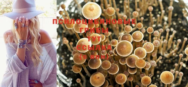 кокаин колумбия Елабуга